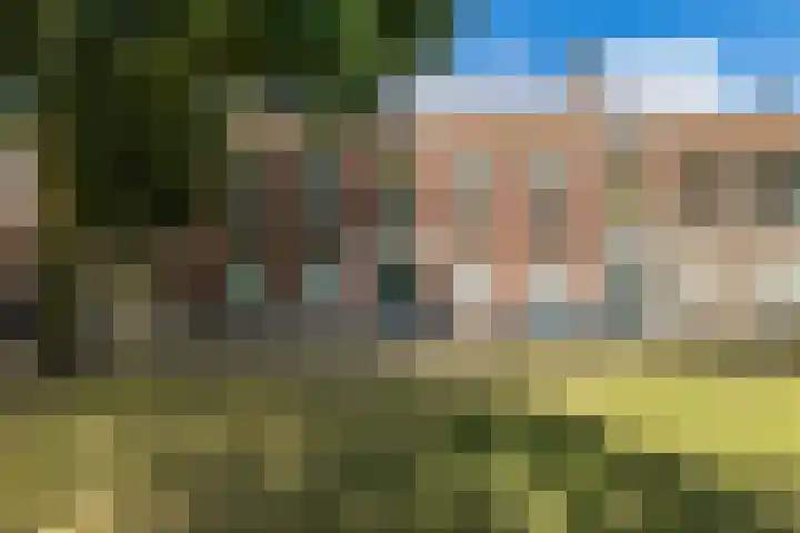Tuinlaan 12 Schiedam thumbnail 5