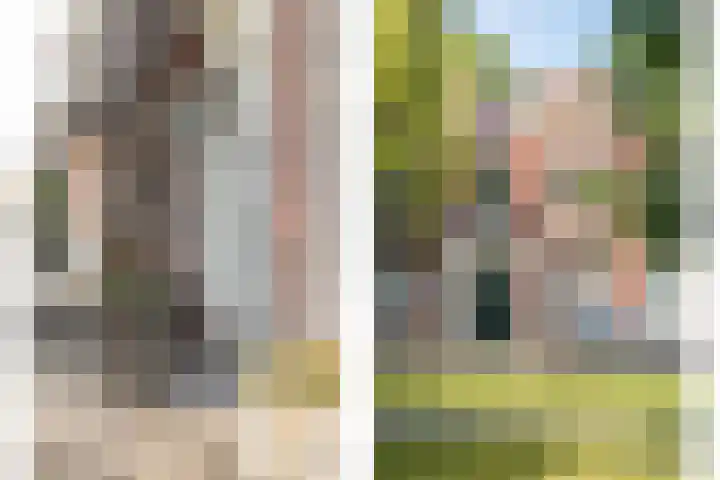 Tuinlaan 12 Schiedam thumbnail 6