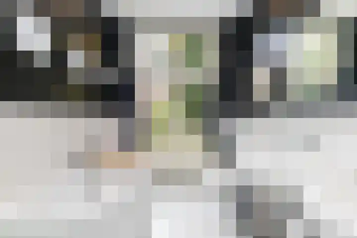 Tuinlaan 12 Schiedam thumbnail 64