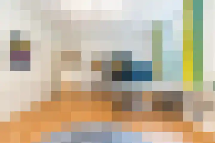 Tuinlaan 12 Schiedam thumbnail 66