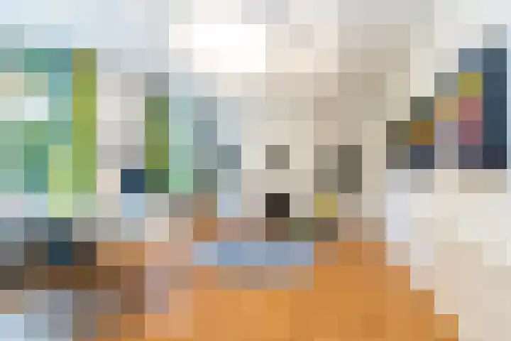 Tuinlaan 12 Schiedam thumbnail 67