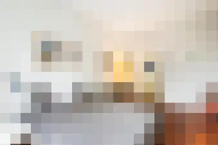 Tuinlaan 12 Schiedam thumbnail 78