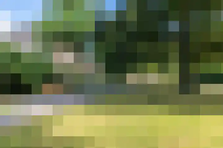 Tuinlaan 12 Schiedam thumbnail 83