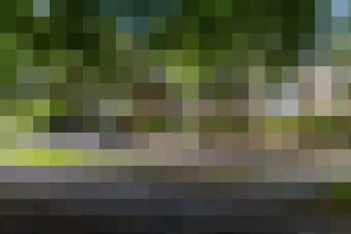 Tuinlaan 12 Schiedam thumbnail 84