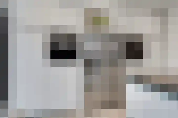 Tuinlaan 129 Borne thumbnail 18