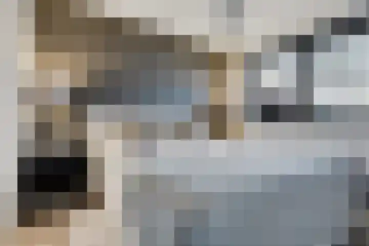 Tuinlaan 129 Borne thumbnail 24