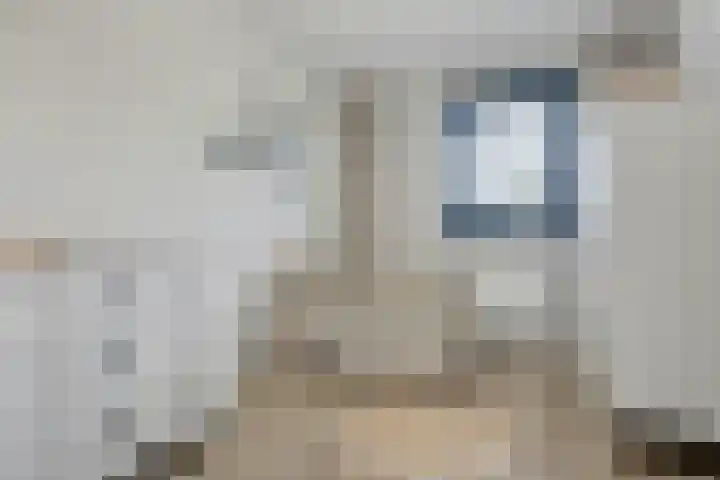 Tuinlaan 129 Borne thumbnail 29