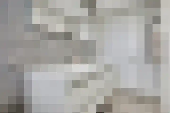 Tuinlaan 129 Borne thumbnail 31