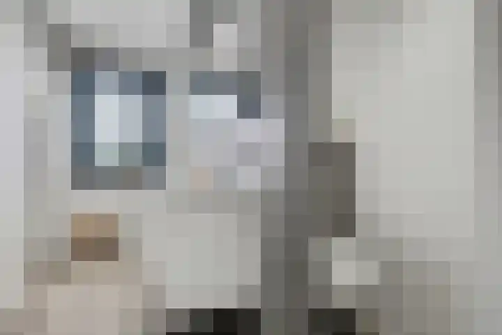 Tuinlaan 129 Borne thumbnail 32