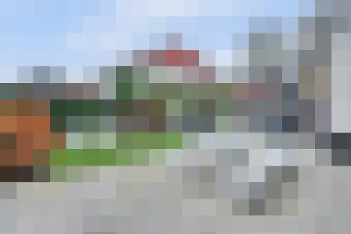 Tuinlaan 129 Borne thumbnail 40