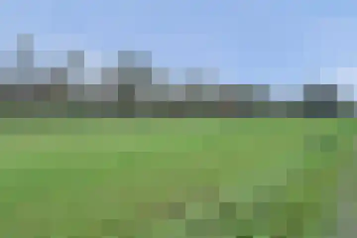Tuinlaan 129 Borne thumbnail 45