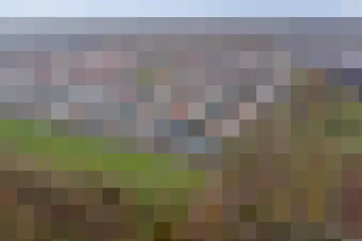 Tuinlaan 129 Borne thumbnail 47