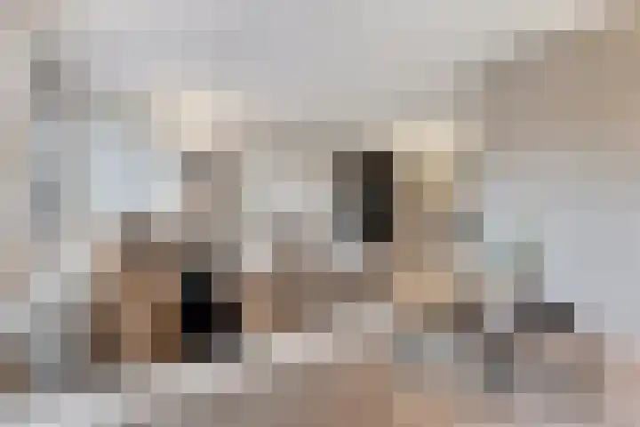 Tuinlaan 129 Borne thumbnail 9