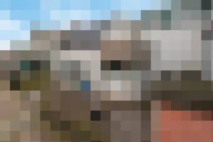 Tuinlaan 134 Pernis Rotterdam thumbnail 11