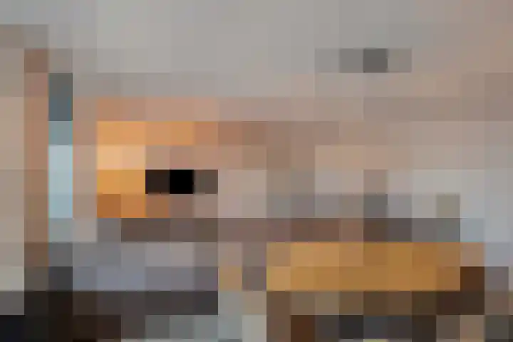 Tuinlaan 134 Pernis Rotterdam thumbnail 17