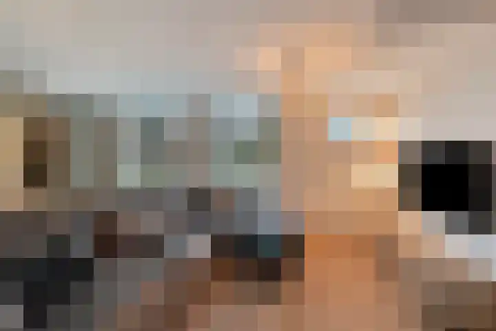Tuinlaan 134 Pernis Rotterdam thumbnail 18