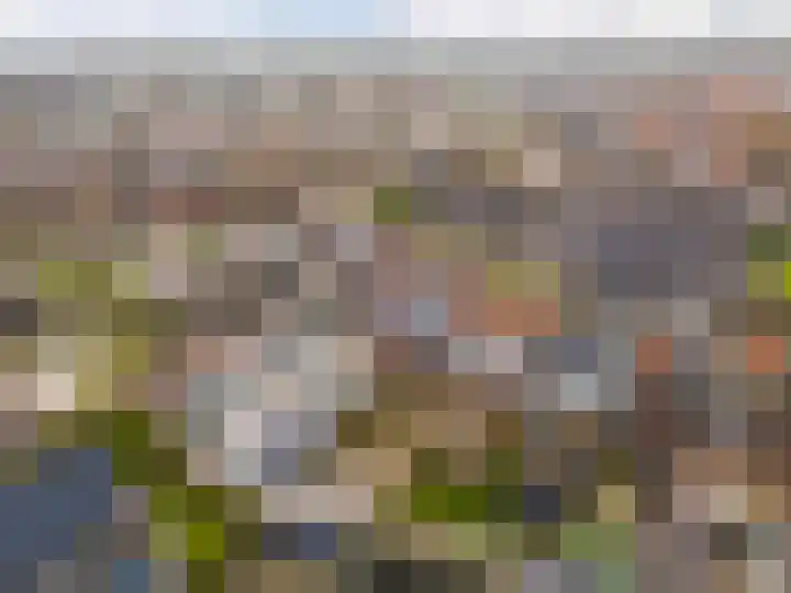Tuinlaan 134 Pernis Rotterdam thumbnail 7