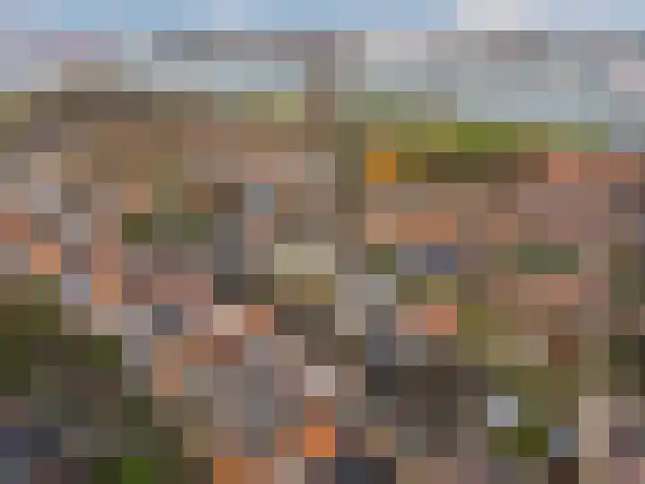 Tuinlaan 134 Pernis Rotterdam thumbnail 8