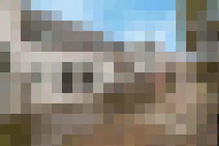 Tuinlaan 134 Pernis Rotterdam thumbnail 9