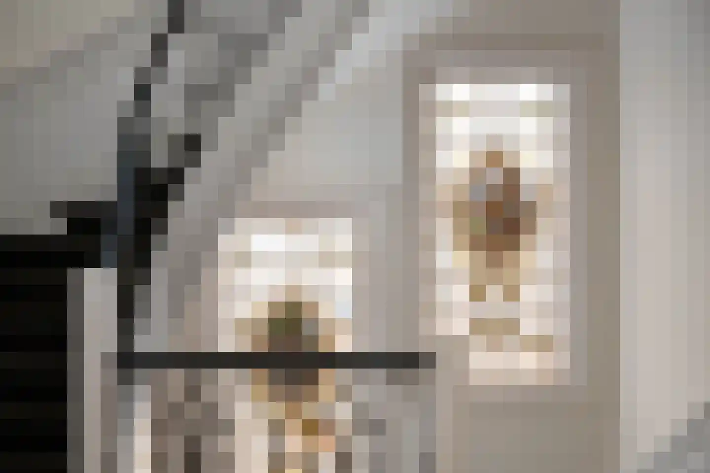 Tuinlaan 18 Schiedam thumbnail 12