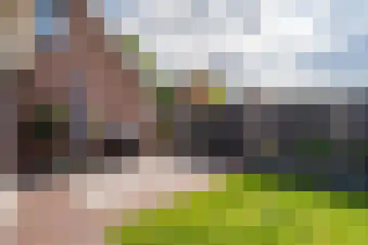 Tuinlaan 19 a Bourtange thumbnail 51