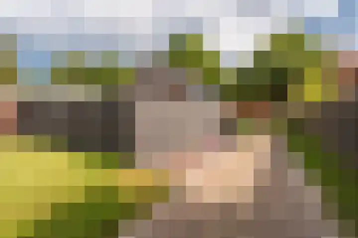 Tuinlaan 19 a Bourtange thumbnail 53