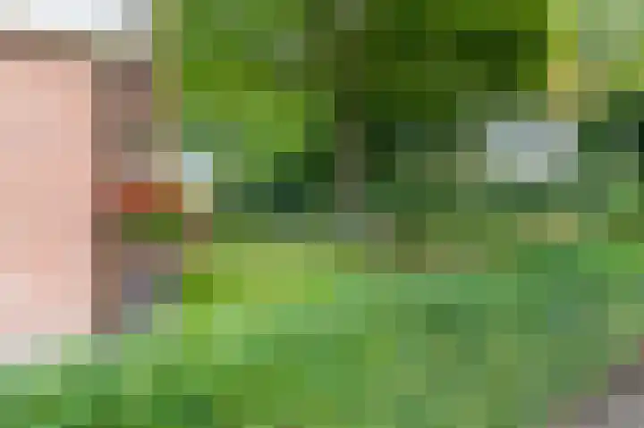 Tuinlaan 19 a Bourtange thumbnail 55
