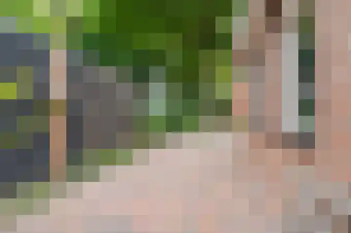 Tuinlaan 19 a Bourtange thumbnail 58