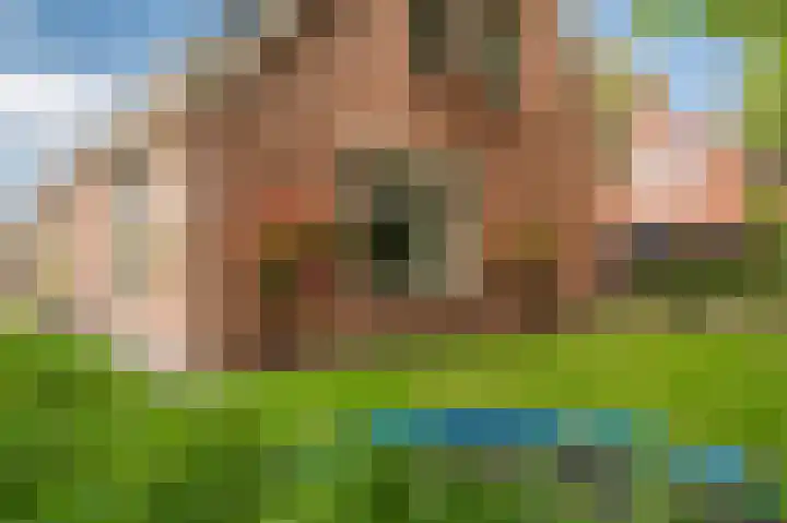Tuinlaan 19 a Bourtange thumbnail 61