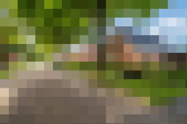 Tuinlaan 19 a Bourtange thumbnail 64