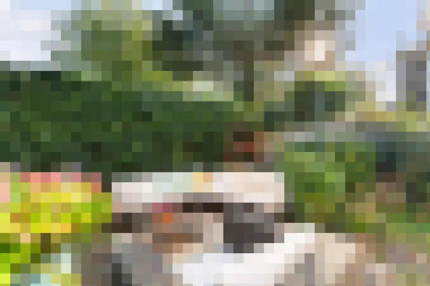 Tuinlaan 20 A Schiedam thumbnail 20