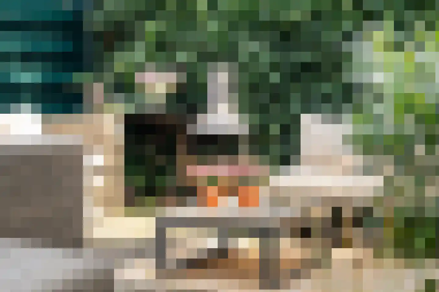 Tuinlaan 20 A Schiedam thumbnail 21