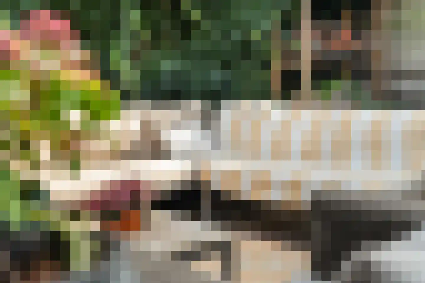 Tuinlaan 20 A Schiedam thumbnail 22