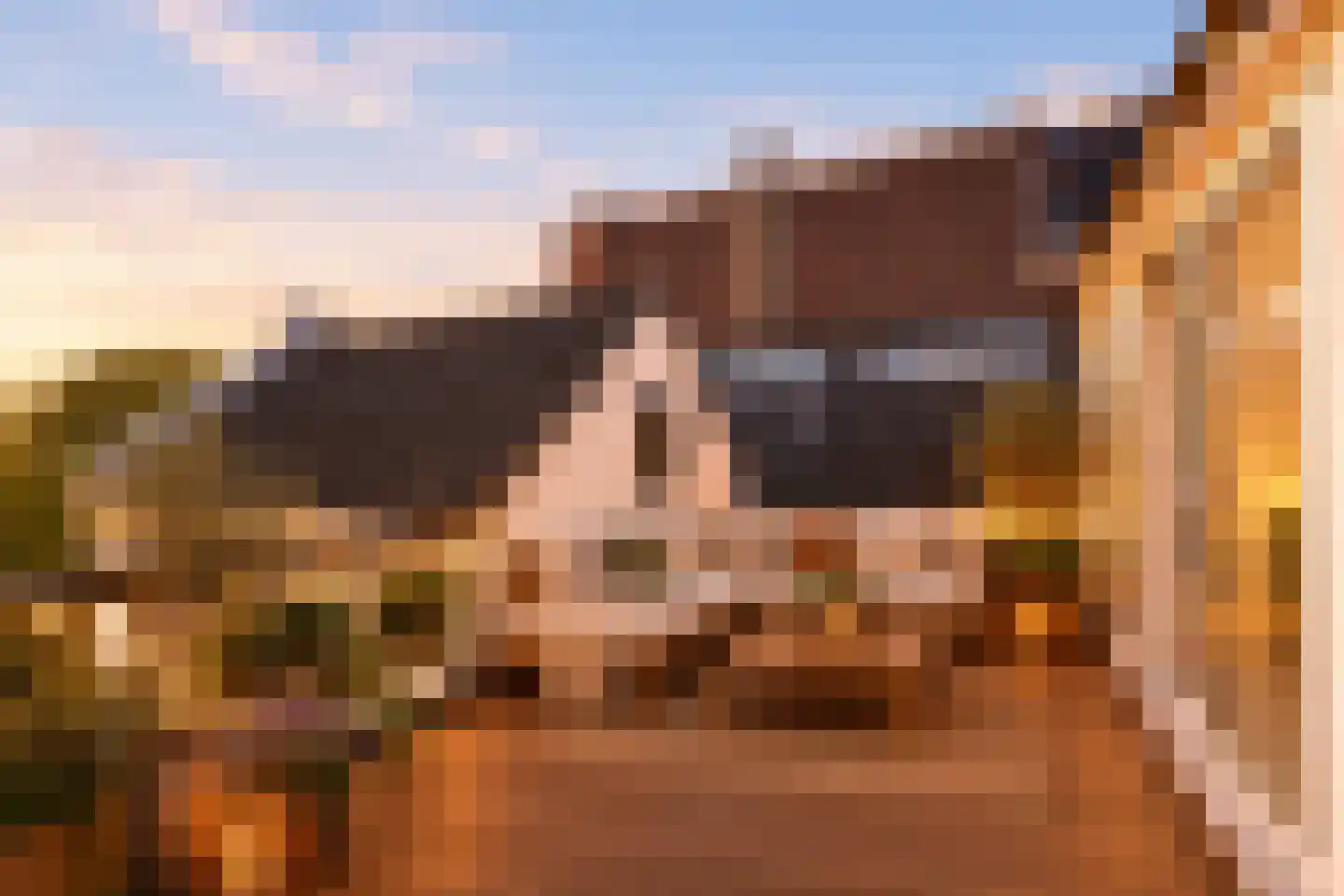 Tuinlaan 20 A Schiedam thumbnail 51