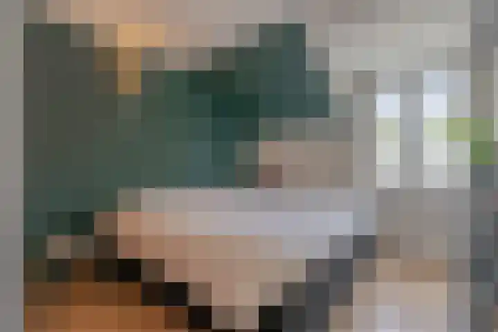 Tuinlaan 24 Bemmel thumbnail 16
