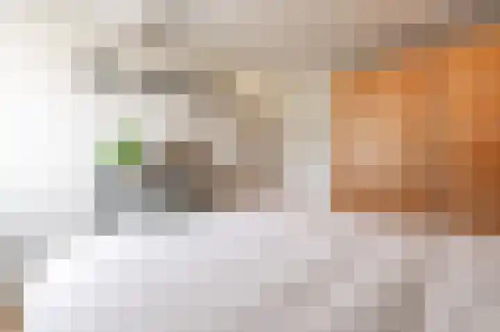 Tuinlaan 24 Bemmel thumbnail 17