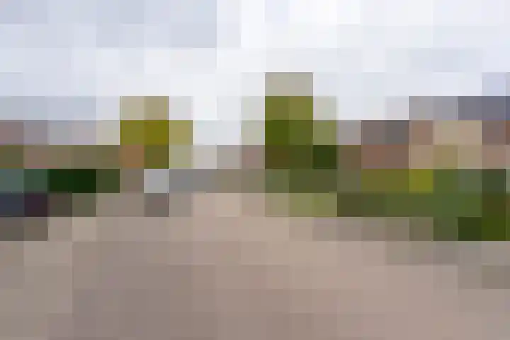 Tuinlaan 24 Bemmel foto 2