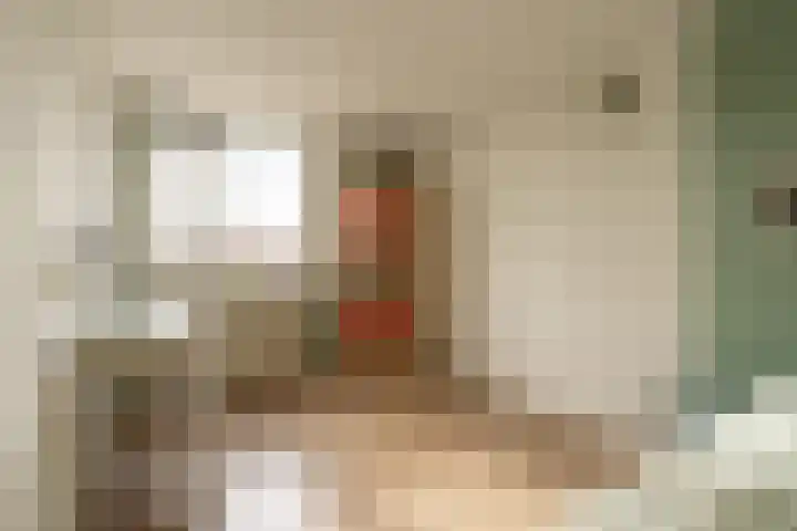Tuinlaan 24 Bemmel thumbnail 20