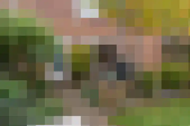 Tuinlaan 24 Bemmel thumbnail 29