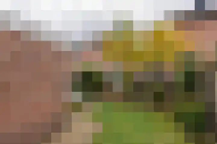 Tuinlaan 24 Bemmel thumbnail 30