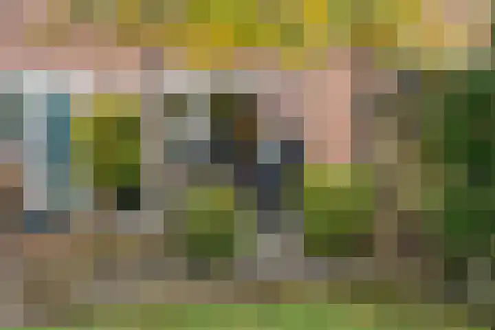 Tuinlaan 24 Bemmel thumbnail 31