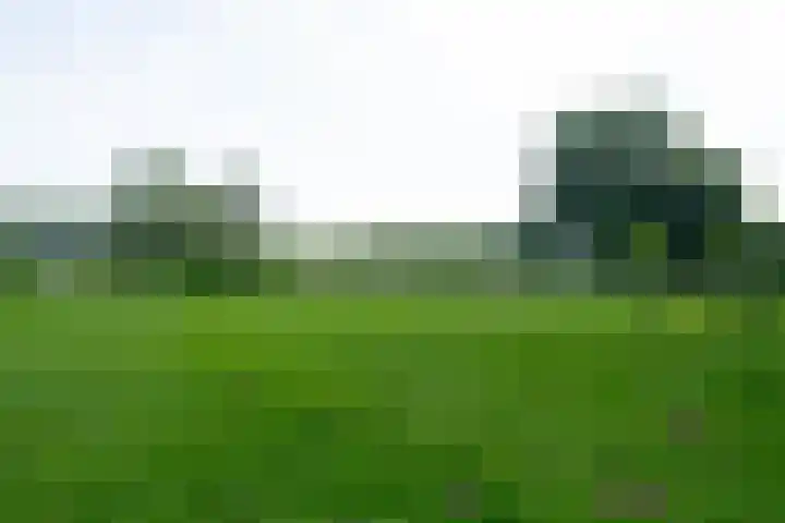 Tuinlaan 24 Bemmel thumbnail 35