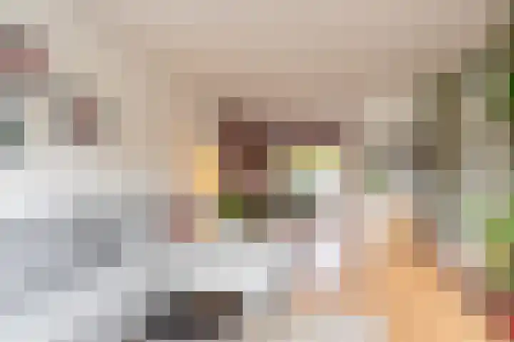 Tuinlaan 24 Bemmel thumbnail 8