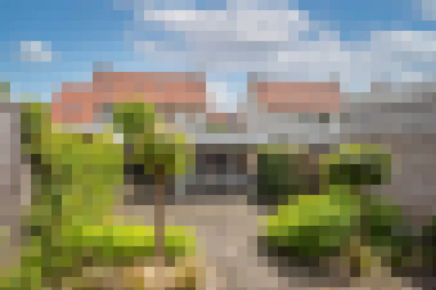 Tuinlaan 3 Borne thumbnail 31