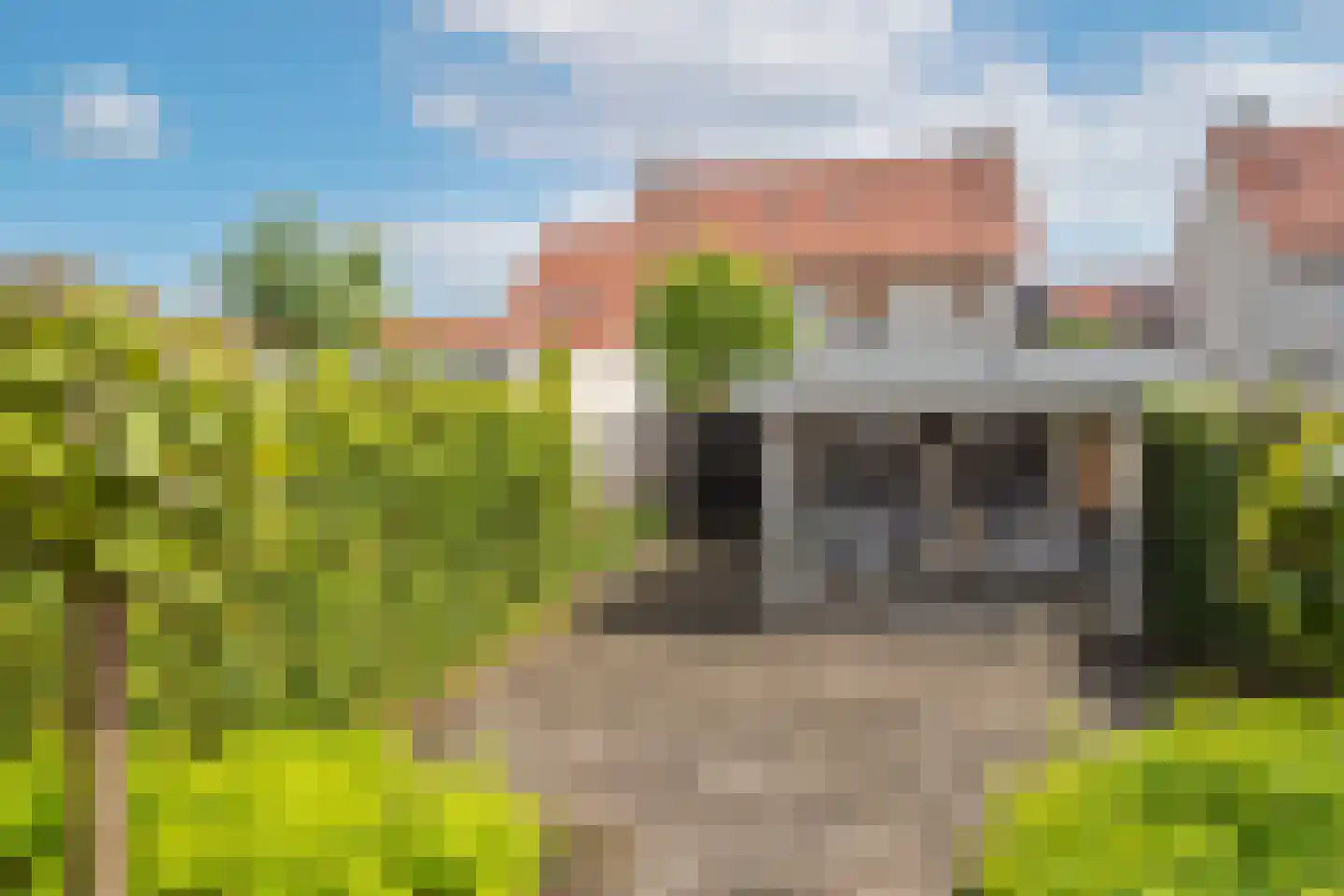 Tuinlaan 3 Borne thumbnail 4
