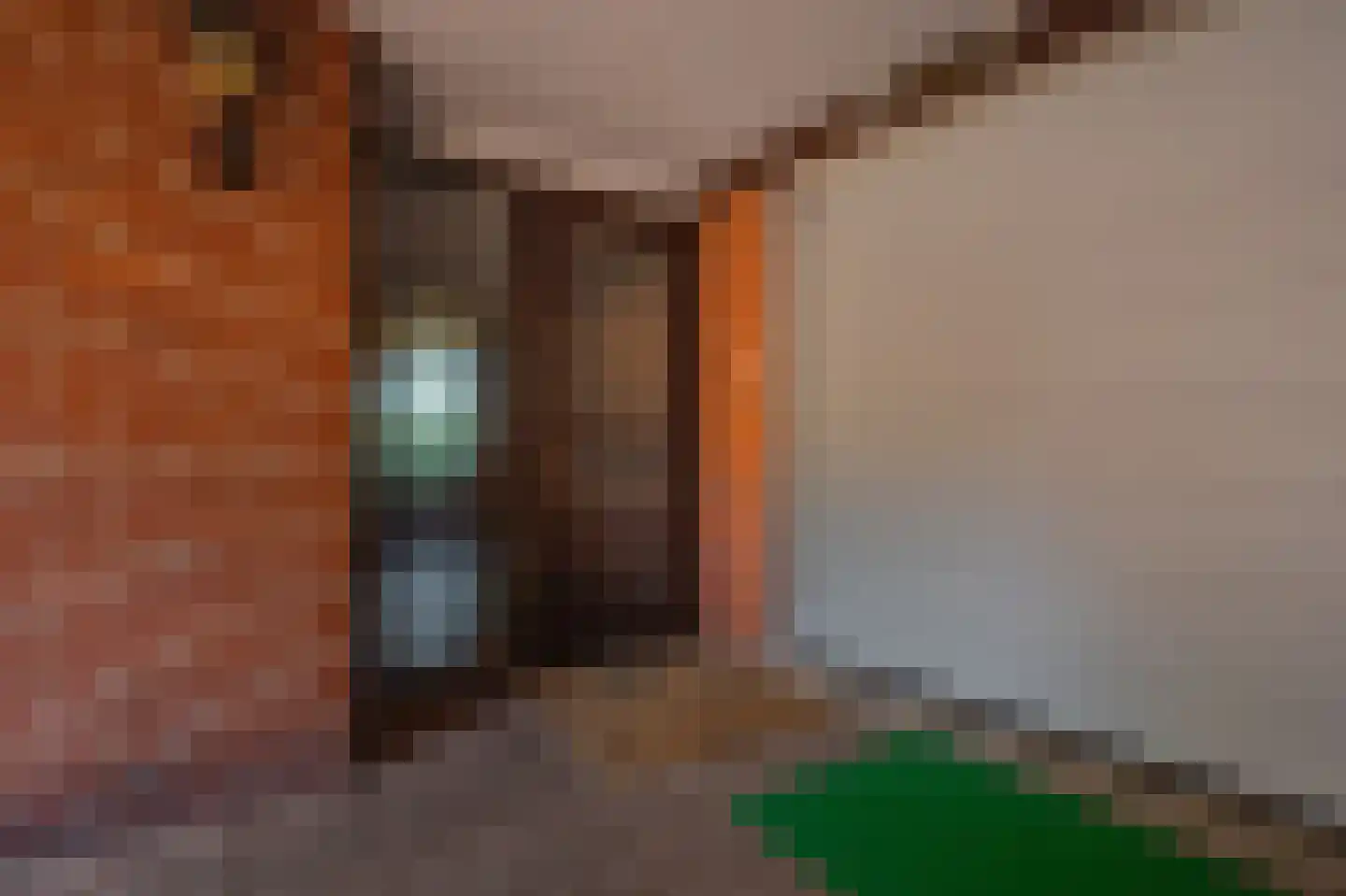 Tuinlaan 3 Bourtange thumbnail 18