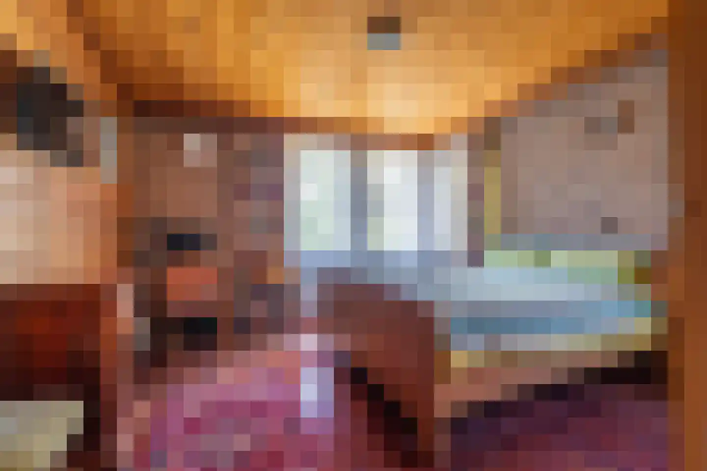 Tuinlaan 3 Bourtange thumbnail 21
