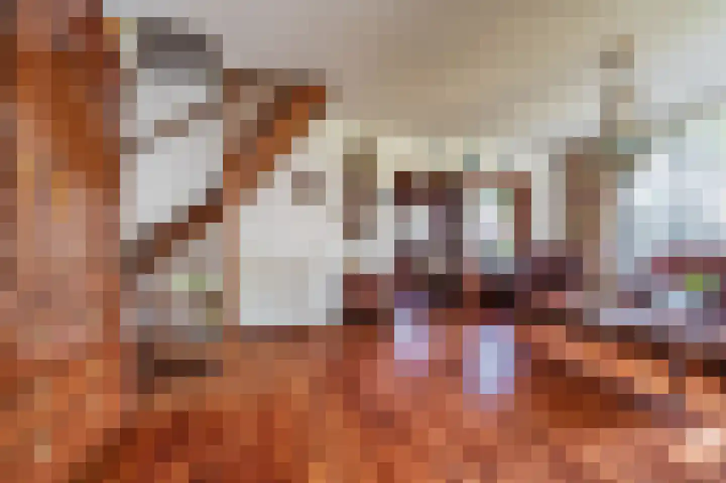 Tuinlaan 3 Bourtange thumbnail 40