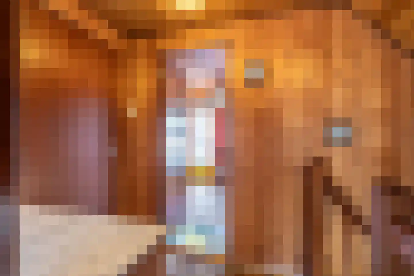 Tuinlaan 3 Bourtange thumbnail 45