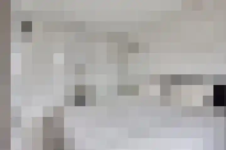 Tuinlaan 33 Bemmel thumbnail 15